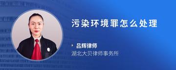 污染环境罪怎么处理