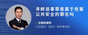 寻衅滋事罪是属于危害公共安全的罪名吗