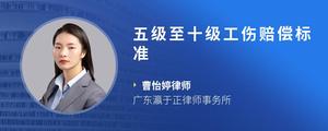 五级至十级工伤赔偿标准