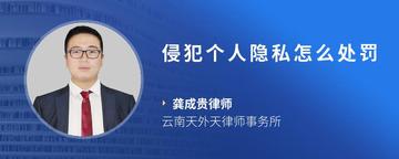 侵犯个人隐私怎么处罚