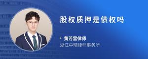 股权质押是债权吗