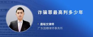 诈骗罪最高判多少年