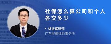 社保怎么算公司和个人各交多少