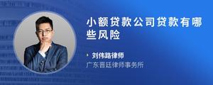 小额贷款公司贷款有哪些风险
