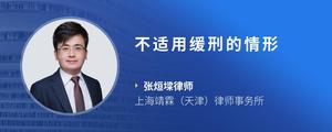 不适用缓刑的情形