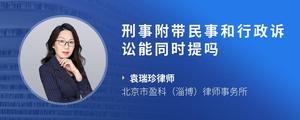 刑事附带民事和行政诉讼能同时提吗