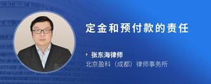 定金和预付款的责任