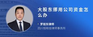 大股东挪用公司资金怎么办