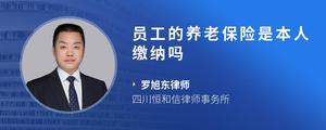员工的养老保险是本人缴纳吗