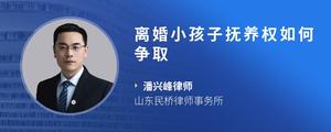 离婚小孩子抚养权如何争取
