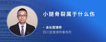 小腿骨裂属于什么伤