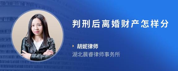 判刑后离婚财产怎样分