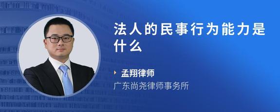 法人的民事行为能力是什么
