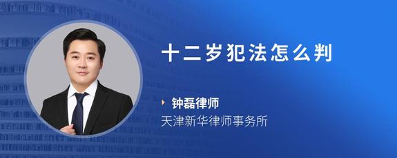 十二岁犯法怎么判