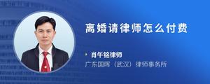 离婚请律师怎么付费