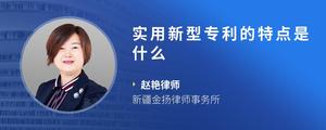 实用新型专利的特点是什么