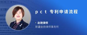 pct专利申请流程