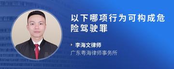 以下哪项行为可构成危险驾驶罪