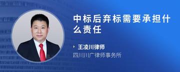 中标后弃标需要承担什么责任