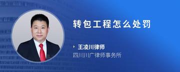 转包工程怎么处罚