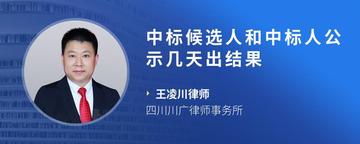 中标候选人和中标人公示几天出结果