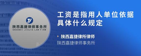 工资是指用人单位依据具体什么规定