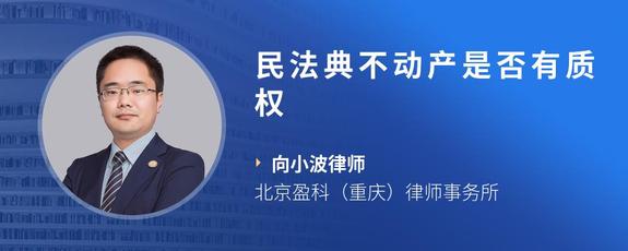 民法典不动产是否有质权