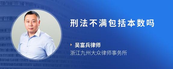 刑法不满包括本数吗