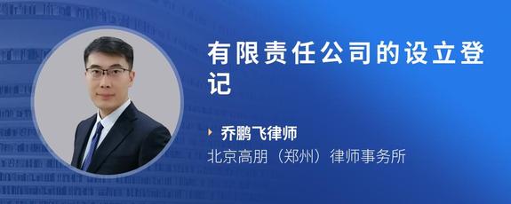 有限责任公司的设立登记