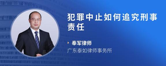 犯罪中止如何追究刑事责任